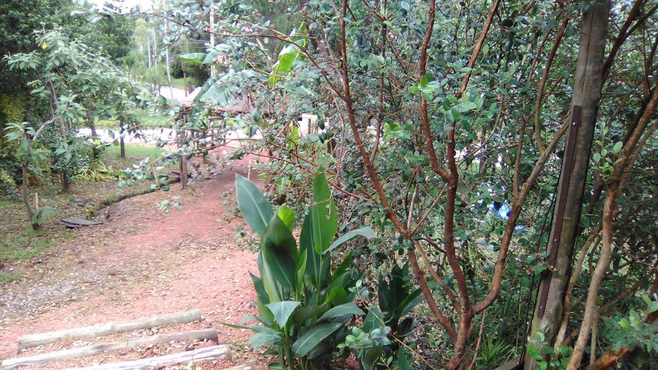 Morro Del Tesoro II Villa Punta del Este Buitenkant foto